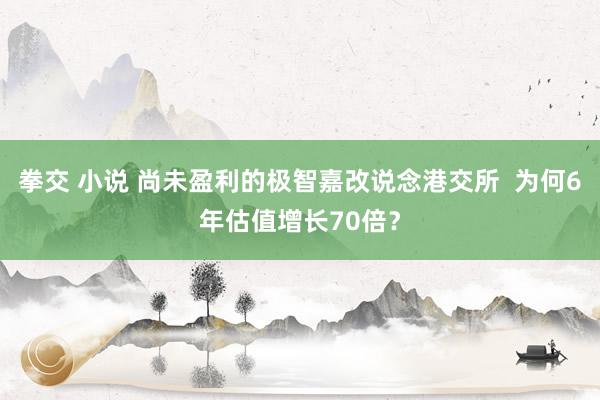 拳交 小说 尚未盈利的极智嘉改说念港交所  为何6年估值增长70倍？