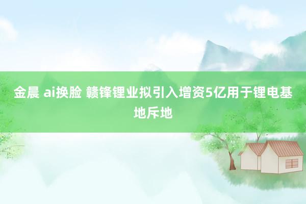 金晨 ai换脸 赣锋锂业拟引入增资5亿用于锂电基地斥地