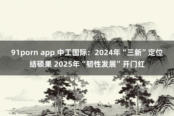 91porn app 中工国际：2024年“三新”定位结硕果 2025年“韧性发展”开门红