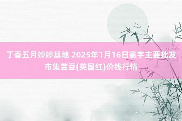 丁香五月婷婷基地 2025年1月16日寰宇主要批发市集芸豆(英国红)价钱行情